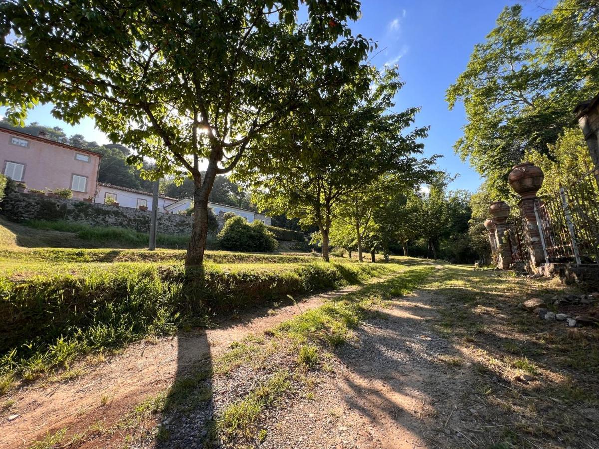 Borgo Al Canto Degli Alberi 卢卡 外观 照片