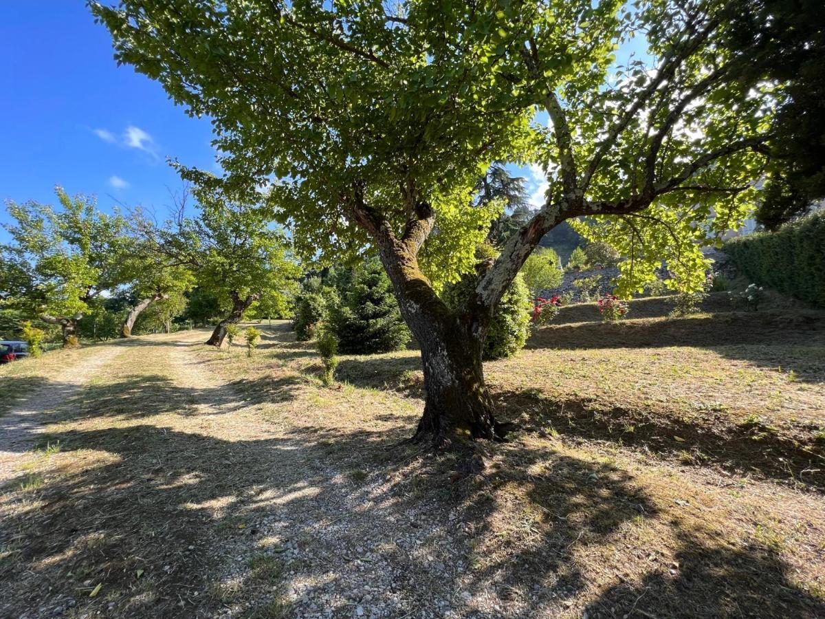 Borgo Al Canto Degli Alberi 卢卡 外观 照片