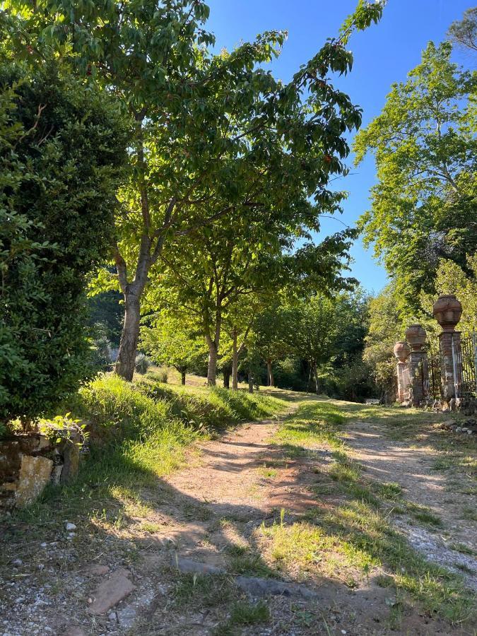 Borgo Al Canto Degli Alberi 卢卡 外观 照片